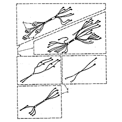 RF390PXP Electric Range Wiring harness Parts diagram